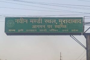 मुख्यमंत्री को चुनौती देते मुरादाबाद नवीन सब्जी मंडी के आड़ती सरकारी जमीन पर कब्जा कर,मण्डी सचिव हमसाज