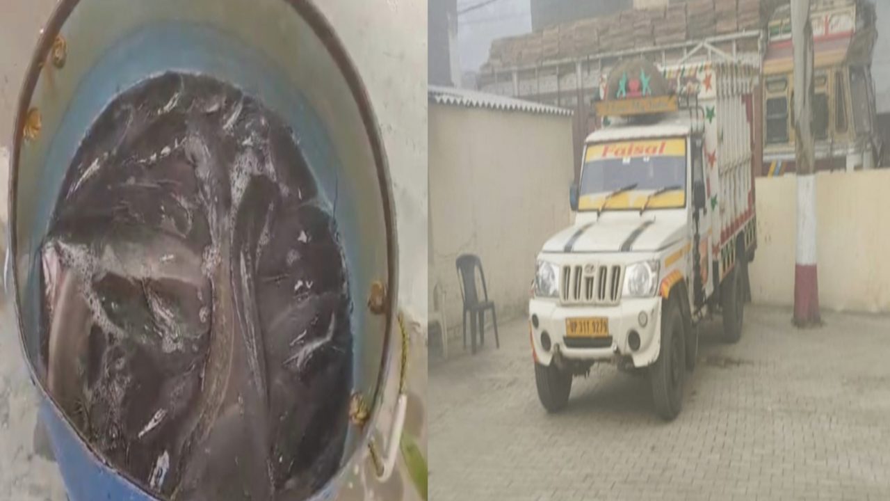 चौकी के सामने धड़ल्ले से चल रहा था प्रतिबंधित मांगुर मछली का व्यापार, जब पहुंची पुलिस तो मची खलबली