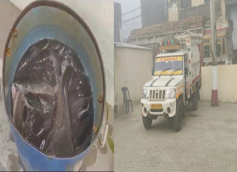 चौकी के सामने धड़ल्ले से चल रहा था प्रतिबंधित मांगुर मछली का व्यापार, जब पहुंची पुलिस तो मची खलबली