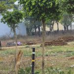 केंद्र सरकार के स्वच्छ भारत मिशन अभियान को लगा रहे पलीता, एमडीए की खाली पड़ी जगह को बना डाला तबेला